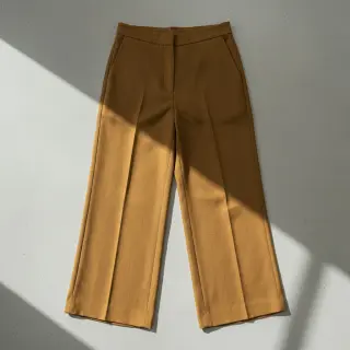 Ľan predpraný mustard