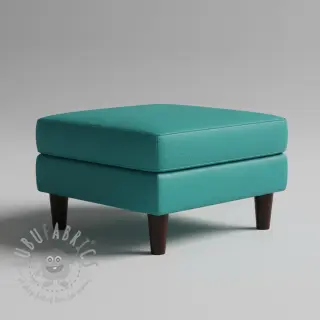 Tekonahka KARIA canard