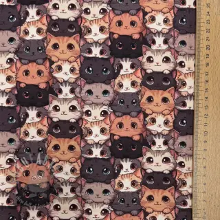Neulos Cats digital print
