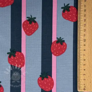 Neulos Fruits Strawberry petrol