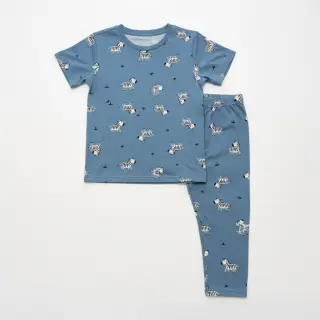 Bavlnená látka FLANNEL Zebras blue