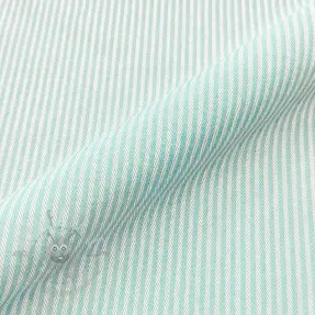 Sisustuskangas DOBBY Colored stripe mint