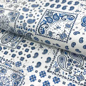 Puuvillakangas Kansas blanc blue