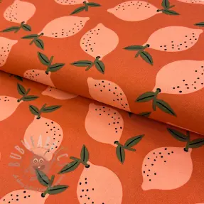 Sisustuskangas Fruits design F