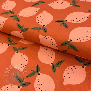 Sisustuskangas Fruits design F