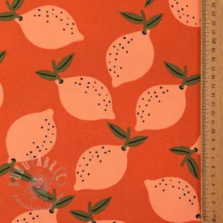 Sisustuskangas Fruits design F
