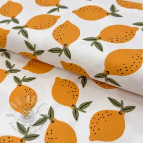 Sisustuskangas Fruits design E