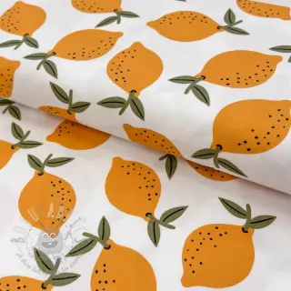 Sisustuskangas Fruits design E