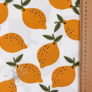 Sisustuskangas Fruits design E