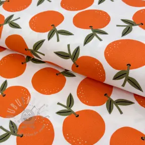 Sisustuskangas Fruits design C
