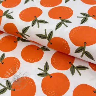 Sisustuskangas Fruits design C