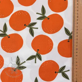 Sisustuskangas Fruits design C