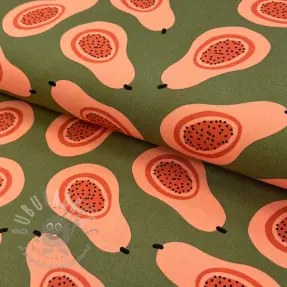 Sisustuskangas Fruits design B