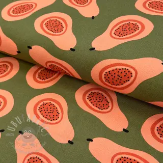 Sisustuskangas Fruits design B