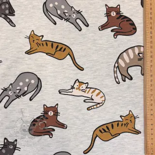 Úplet Lazy cats ecru melange