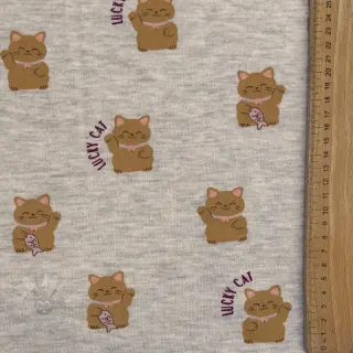 Harjattu collegekangas Lucky cat off white melange