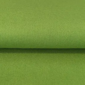 CANVAS lime