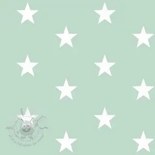 Puuvillakangas Stars mint