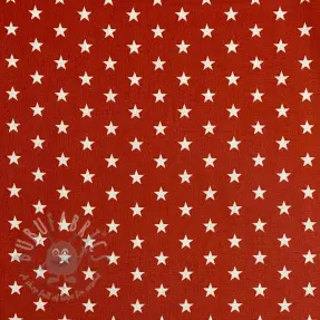 Puuvillakangas Petit stars terra