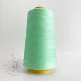 Overlock-lanka 2700 m mint