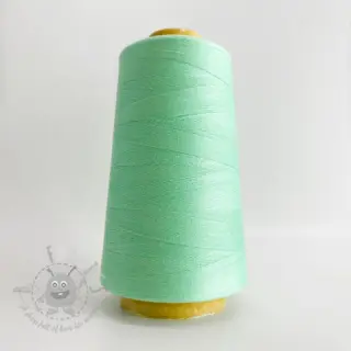 Overlock-lanka 2700 m mint