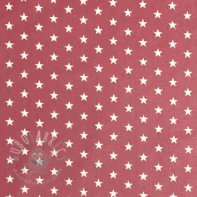Puuvillakangas Petit stars blush