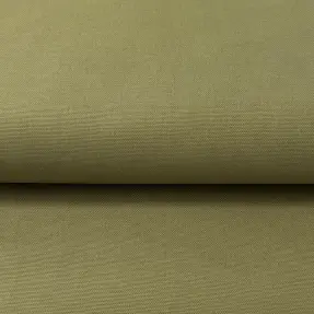 CANVAS olive