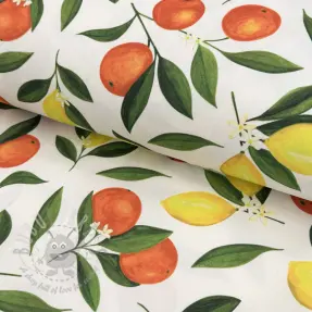 Sisustuskangas teflonkäsittelyllä Citrus Fruit