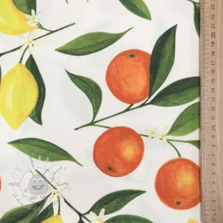 Sisustuskangas teflonkäsittelyllä Citrus Fruit
